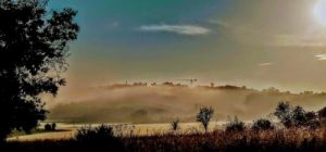 Fiac brume