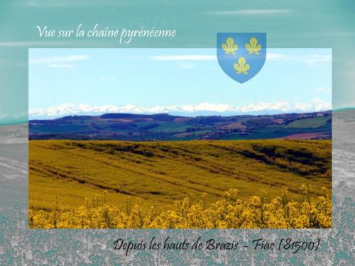 Fiac pyrennees