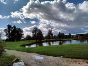 Golf fiac