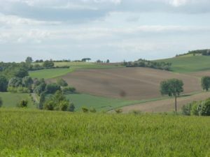 Paysages fiacois